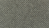 Venus Slate