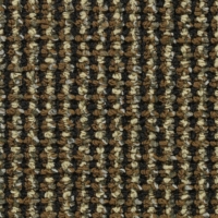 HC538-03 Fame